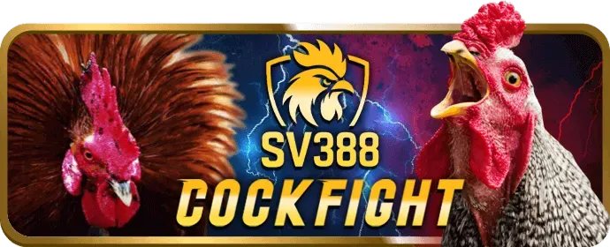 Thưởng chào mừng b99 casino